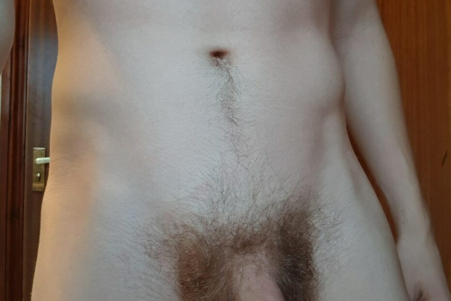 Soft hairy penis