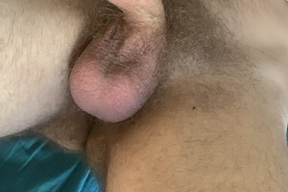 Soft penis with foreskin